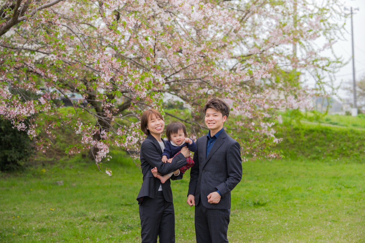 桜の下での家族写真